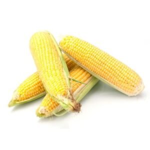Maize (Yellow Corn)