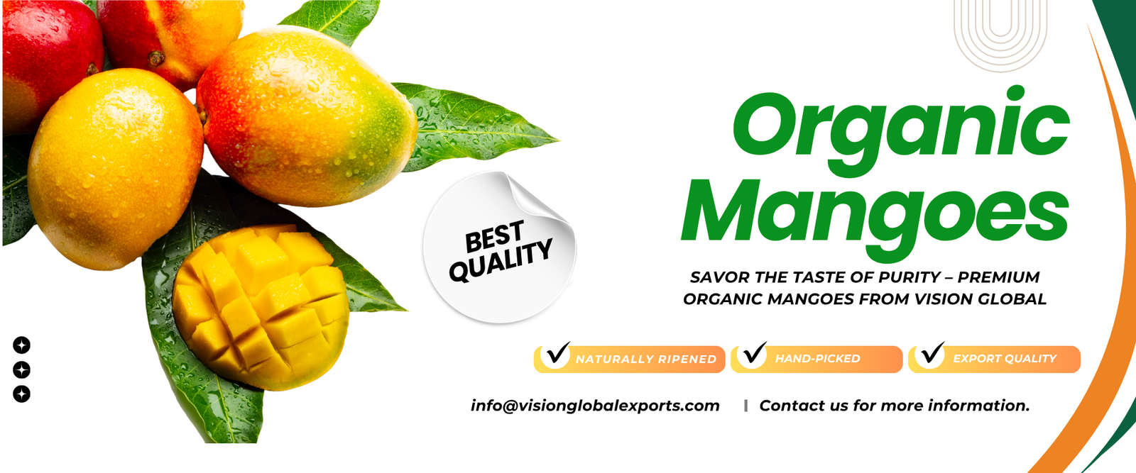 Freshmangoes with quality assurance by VISION GLOBAL